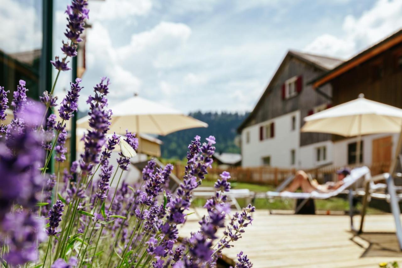 Hirschen Wohlfuehlhotel Schoppernau Eksteriør billede